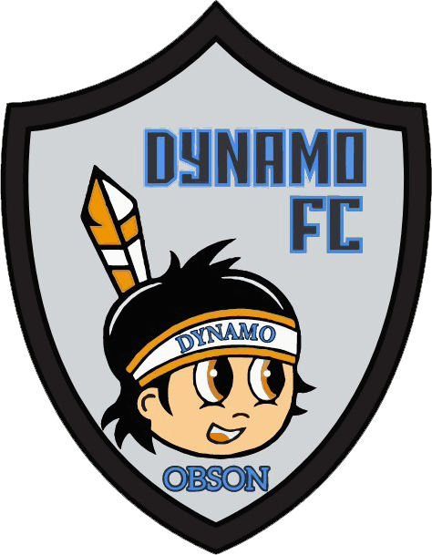 Logo of Dynamo FC